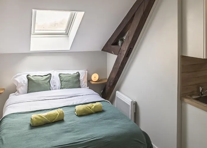 Lägenhet Le Nid Troyen - Proche Hypercentre - 2 Pers *